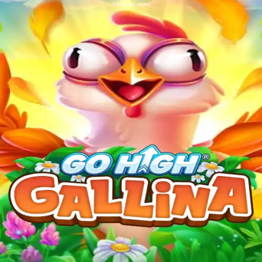Explore GoHighGallina: An Intriguing New Addition to Brazilian Online Games